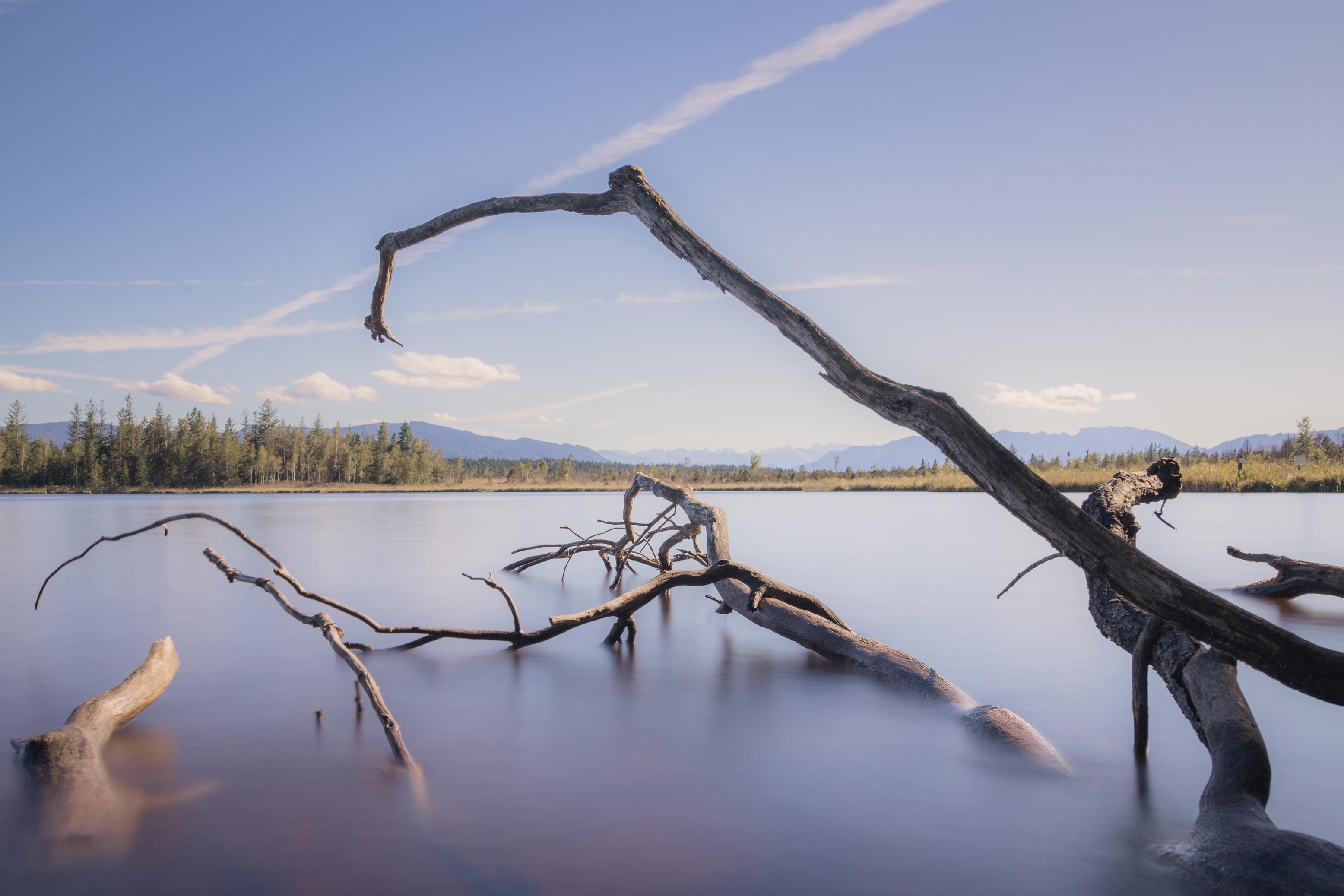 Long-exposure shot of a tree trunk in a calm lake